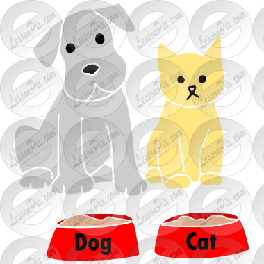 Pets