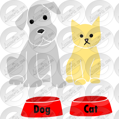 Pets