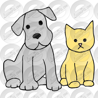 Pets
