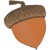 Acorn  Picture