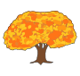 Tree  Picture