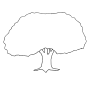 Tree  Outline