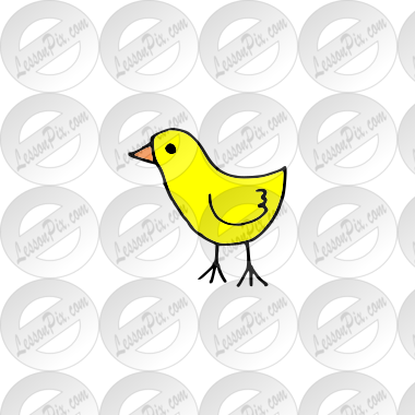 Chick