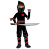 Ninja Picture