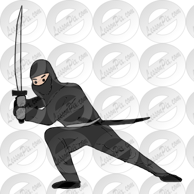 Ninja Picture