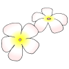 Hawaiian Flowers