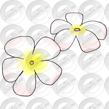 Hawaiian Flowers Picture