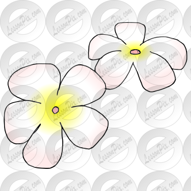 Hawaiian Flowers