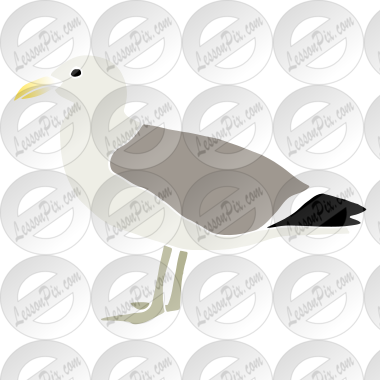 Seagull  Stencil