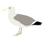 Seagull  Stencil