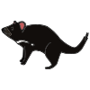 Tasmanian devil
