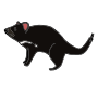 Tasmanian devil