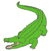 green+crocodile Picture