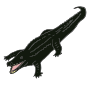Crocodile  Picture