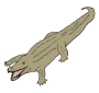 Crocodile
