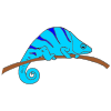Blue+Chameleon Picture