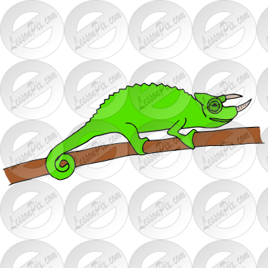 Chameleon