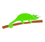 Chameleon