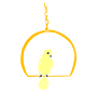 Perch