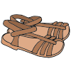 Sandals Picture