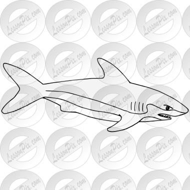 White Shark