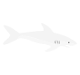 White Shark