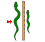 Longer  Picture