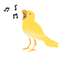 Songbird