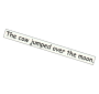 Sentence Strip  Picture