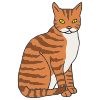Cat  Picture