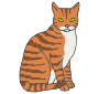 Cat  Picture