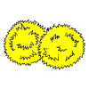 Pom Pom