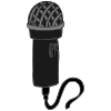 Microphone Picture