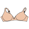 bra Picture