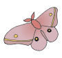 Moth