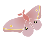 Moth