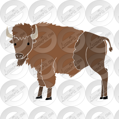 Buffalo