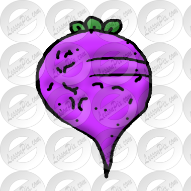 Beet