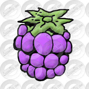 Berry