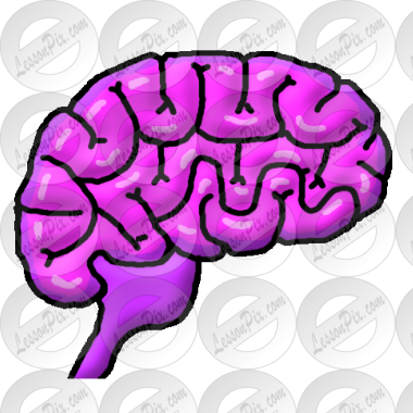 Brain  Picture