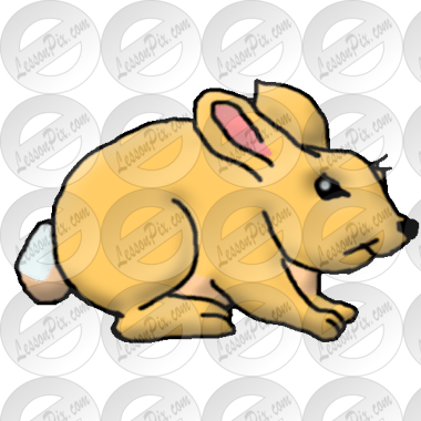 Bunny