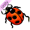 Lady Bug Picture