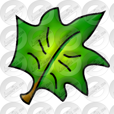 Leaf