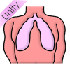 Lungs Picture