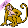 Monkey Picture