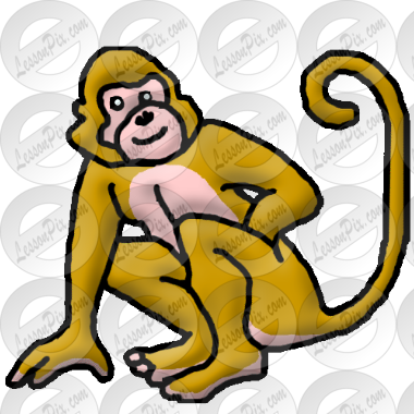 Monkey
