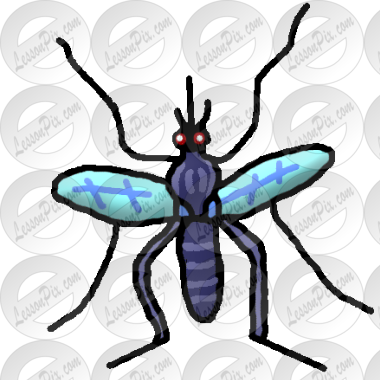 Mosquito