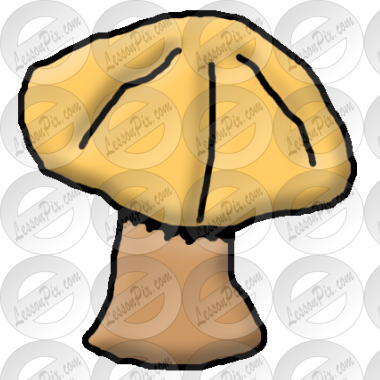 Mushroom