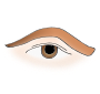 Eyebrow