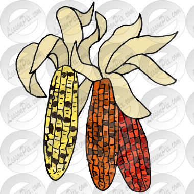 Corn